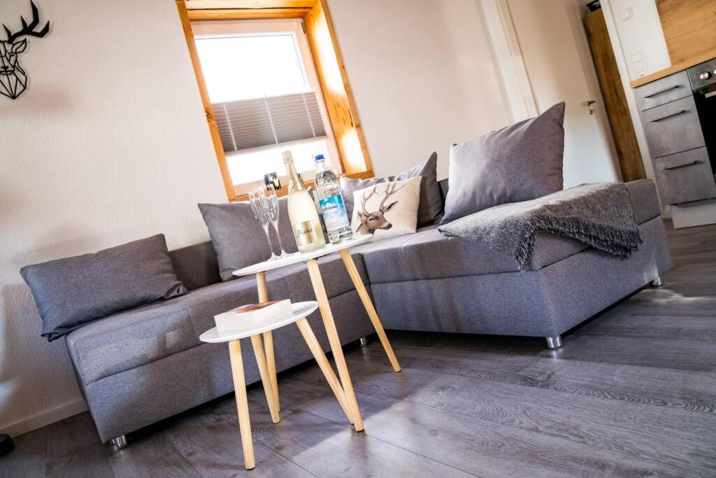 Neu Renoviertes Ferienhaus/wohnunng Kleine Auszeit Appartement Sonnenbühl